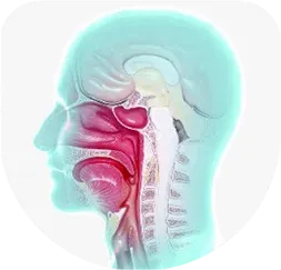 Head & Neck